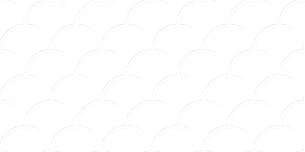 FAIENCE - 30X60 - C/0.9M² - CELESTIAN WHITE