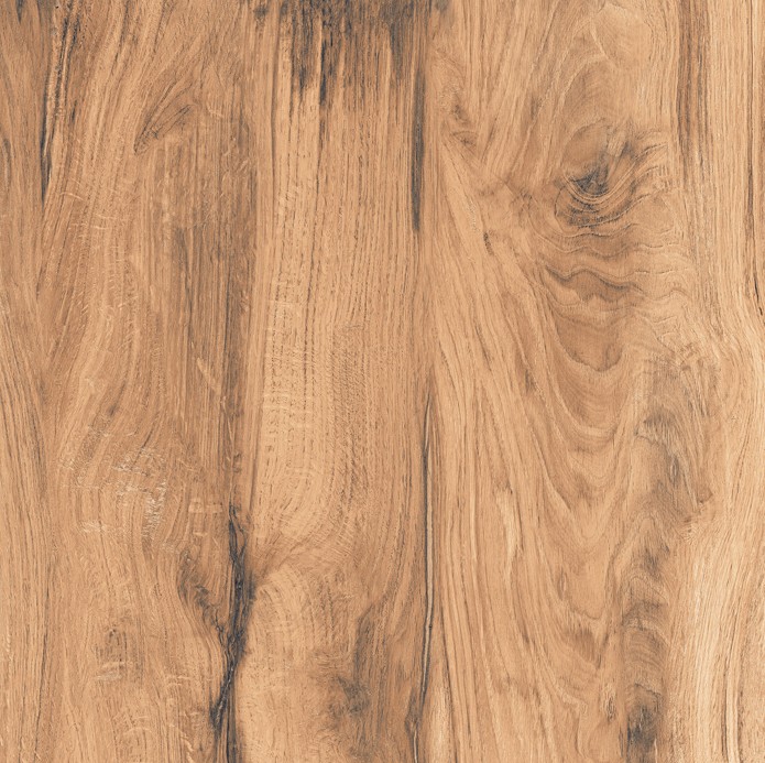 CARRELAGE SOL - 60X60 - C/1.44M² - SHERWOOD